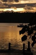 Beautiful lake in Tonga