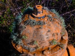 moss on a rusty fire hydrant