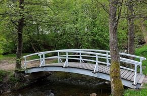 bridge over a pond on a background of green nature