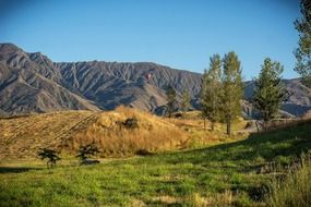 fascinating new zealand