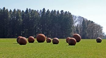 metal balls on the lawn