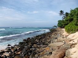 seascape of the sri lanka's ocean