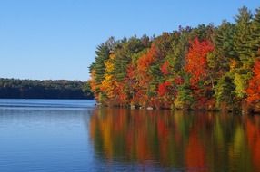 reflection of the autumn forest in the waters of the lake