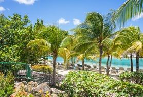 tropical beach in curacao