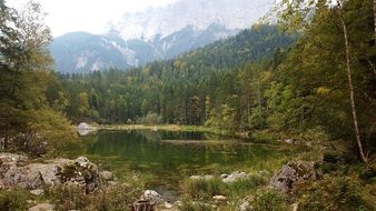 primeval nature in Zugspitz