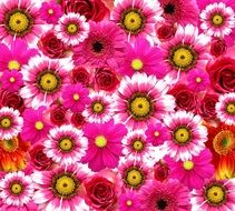 wonderful flowers drawing