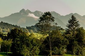 mountain landscape of alpine nature