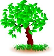 picture of wood with green leaves on it