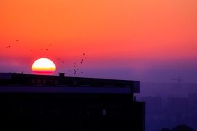 red and purple sky at sunrise