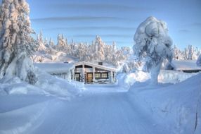 path to the hut in the snowy woods