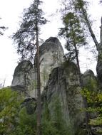 rock formations among trees