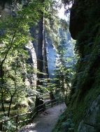 Hiking trail near the cliff