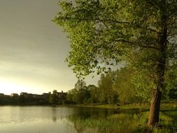 beautiful forest lake in gleboczek poland