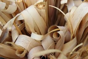 selloana dry compositions licorice