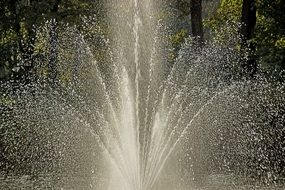 fountain near green trees