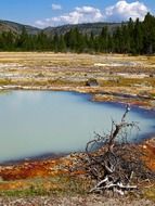 Pond in Yellowstone National Park