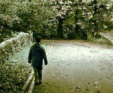 little man walking by forest road