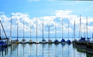 sailing boats in the port