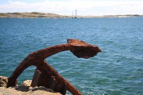 rusty anchor