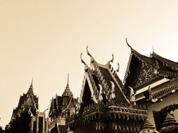 roofs of temples in bangkok