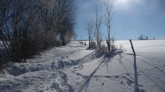 winter landscape in the glare of the sun