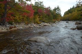 fall colors stream