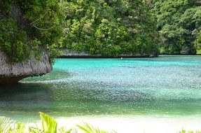 Mediterranean nature in summer