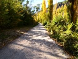 path in a colorful Park