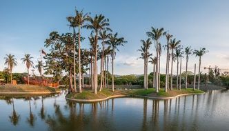 Landscape of Miranda park in caracas