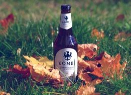 beer bottle on autumn grass scene