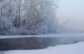 Pond in the winter forest