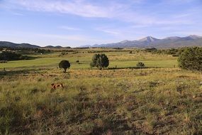 scenic countryside in Colorado