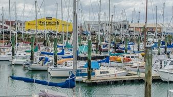 port with sailboats