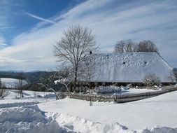 cold snowy winter in the black forest, germany, Schwarzwald