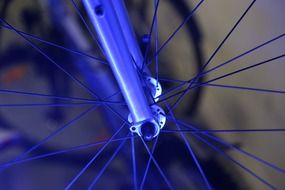 closeup of bicycle spokes
