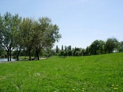 green landscape by the water