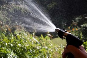 Picture of watering the garden