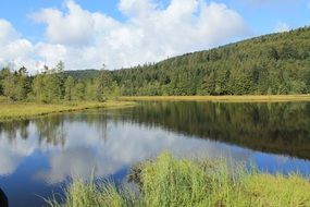 beautiful landscape with sky and forest mirroring in lake