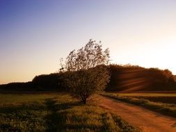 evening landscape at sunset
