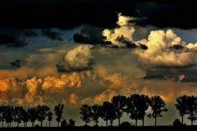 Beautiful landscape with trees under colorful sunset in the clouds