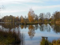 lake with trees on the shore