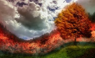 fire brand forest