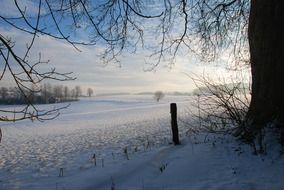 winter landscape in december