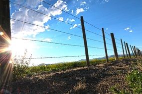 Farm fence made of barbed wire