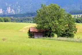 barn hut field