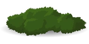 drawing of a green shrub