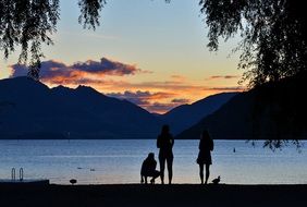 Landscape of lake bank at the sunset in New Zealand