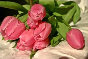 Pink tulip bouquet