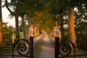 wrought iron gate in front of path beneath trees at sunset