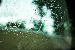 Rain drops on the window with the plants outside